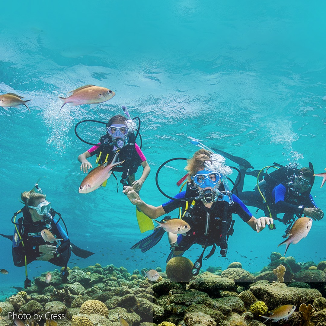 Zdjęcie WhatsApp 2025-08-21 o 08.41.05_397a0d7b